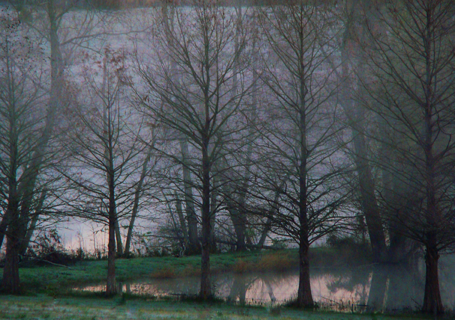 Christmas Eve Morning, 2013_72dpi_Christopher Woods - Copy